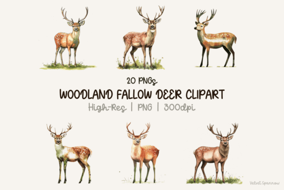 Download Woodland Fallow Deer Clipart 20 Png - Png Collection
