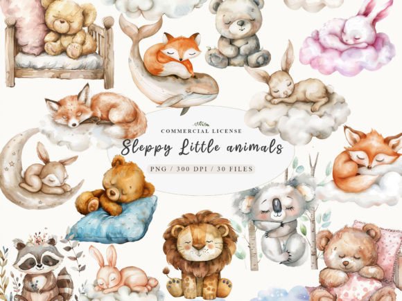 Download Sleeping Baby Animal, Sweet Dreams PNG - Png Collection